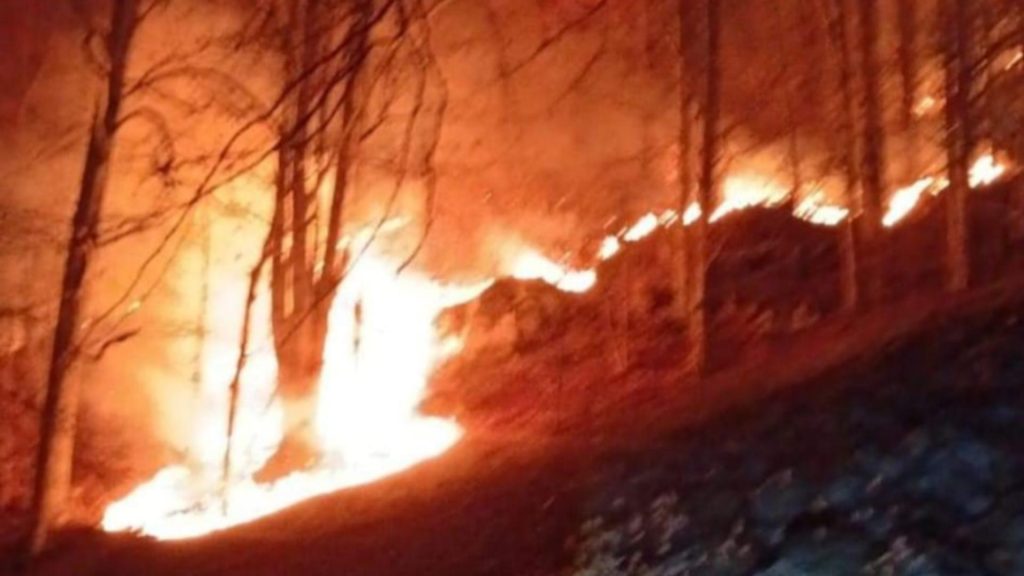 Incendiu uriaș de vegetaţie şi litieră în Maramureș; 10 hectare afectate. Flăcările se apropie de o mănăstire – VIDEO