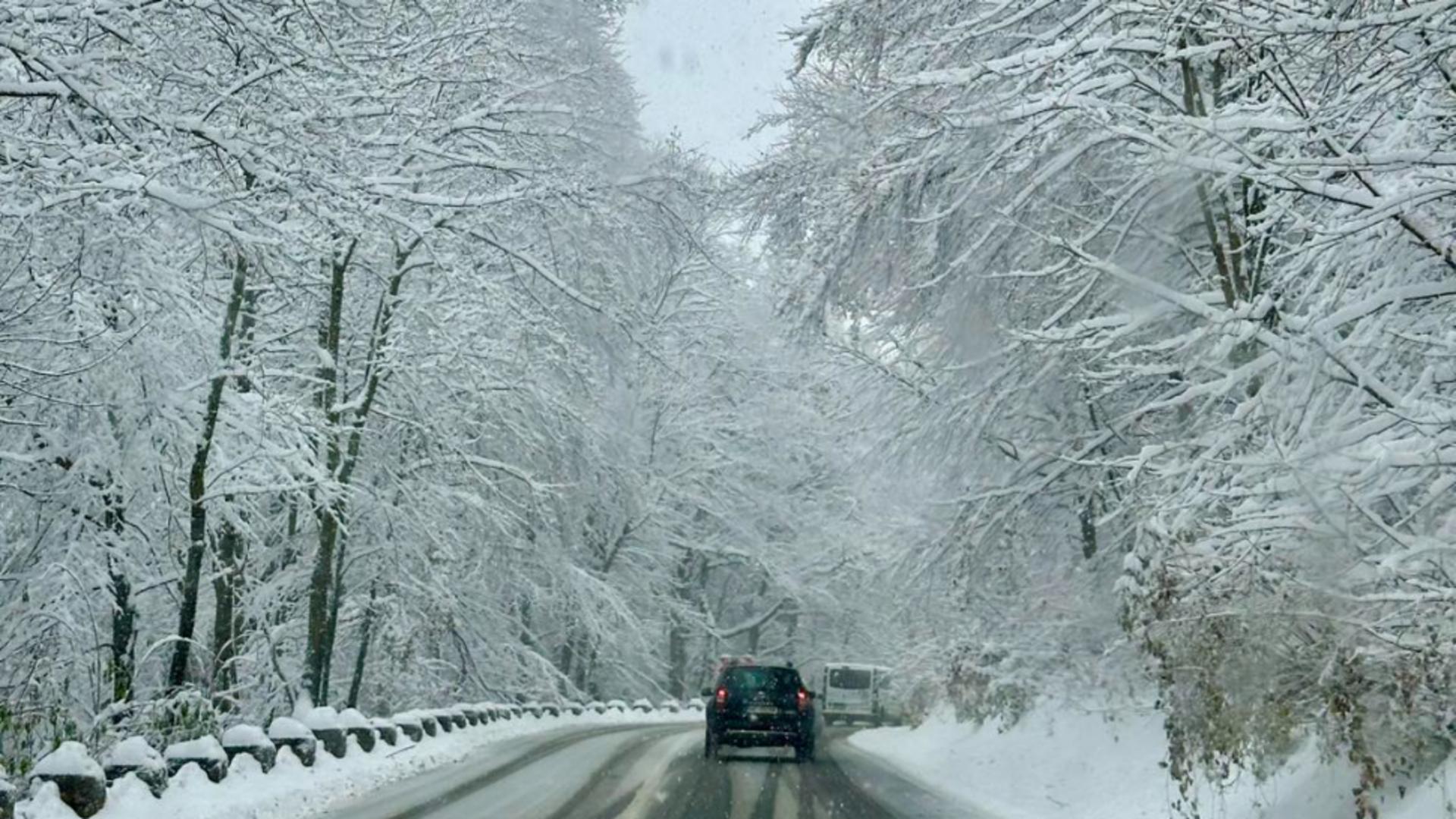 Mircea Fechet a convocat ședință de urgență după CODUL ROȘU de viscol emis de ANM. Este prima ședință CMSU din această iarnă