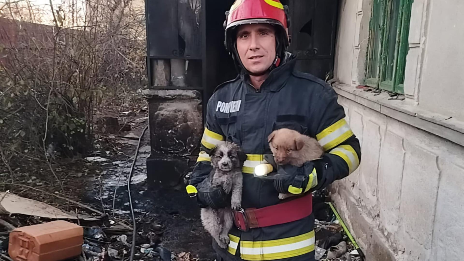 Incendiu devastator în Giurgiu: Un bărbat și animalele sale de companie, în pericol