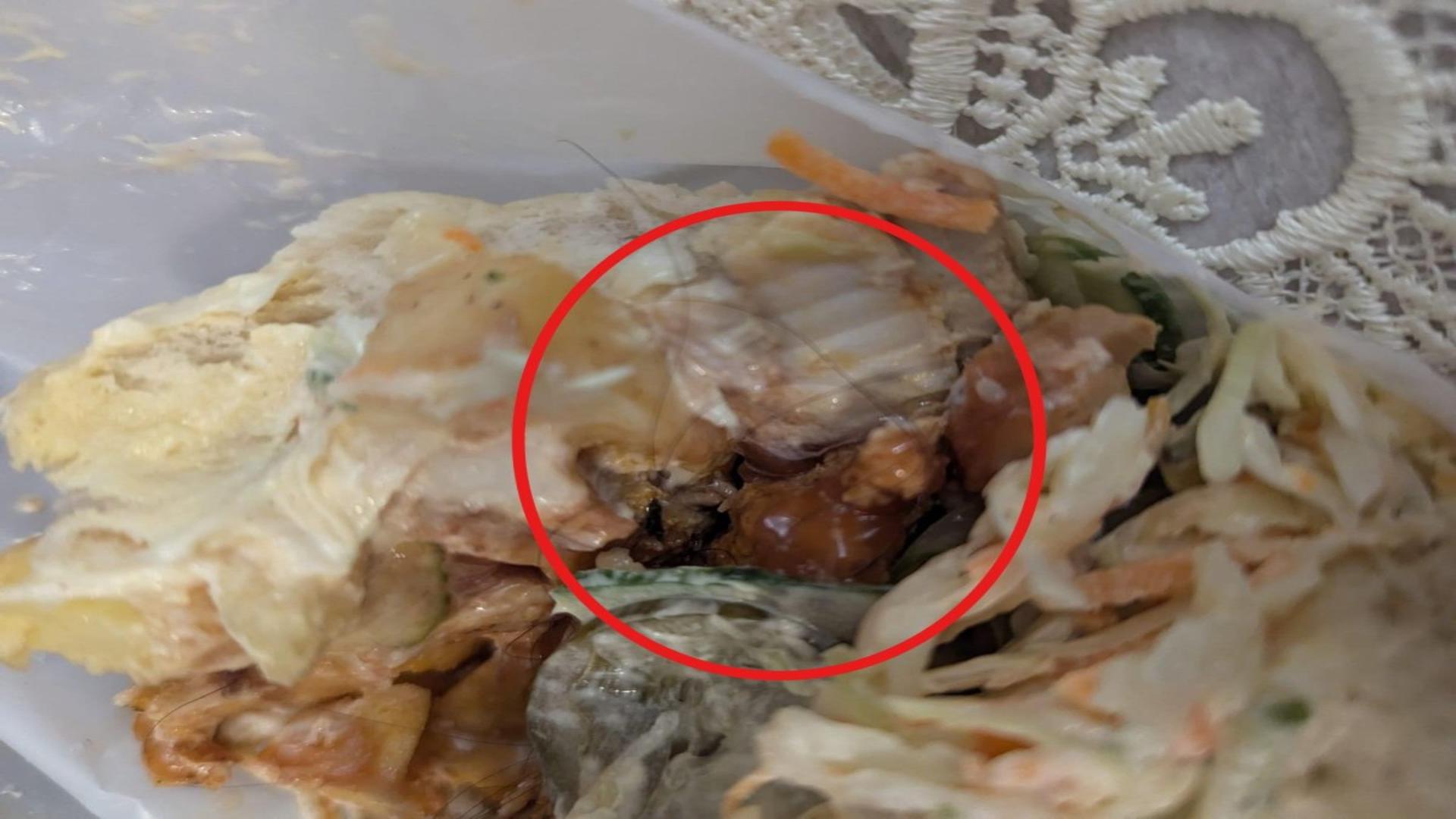 Kebab cu fire de PĂR, vândut la un fast-food din Năvodari – FOTO