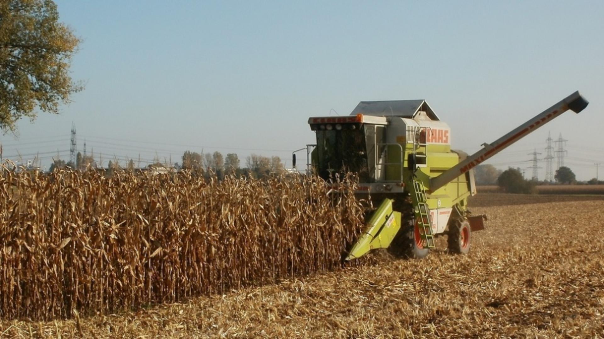 Criză de personal în agricultură și industria alimentară. Salariile pot ajunge chiar și la 12.000 de lei pe lună