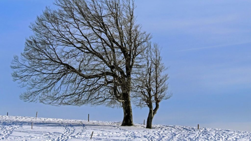 Ploi şi intensificări ale vântului, până marţi dimineaţă! ANM a emis noi coduri galbene de vreme rea