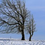 Ploi şi intensificări ale vântului, până marţi dimineaţă! ANM a emis noi coduri galbene de vreme rea