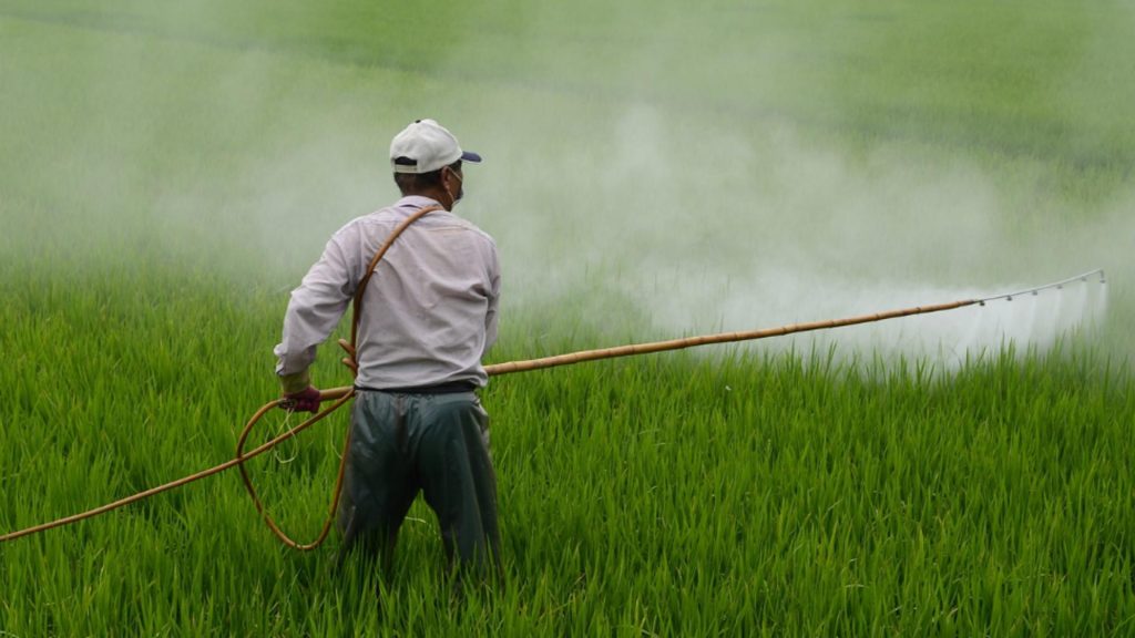 România folosește pesticide interzise în Europa! Ce spun experții