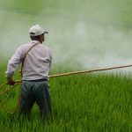 România folosește pesticide interzise în Europa! Ce spun experții