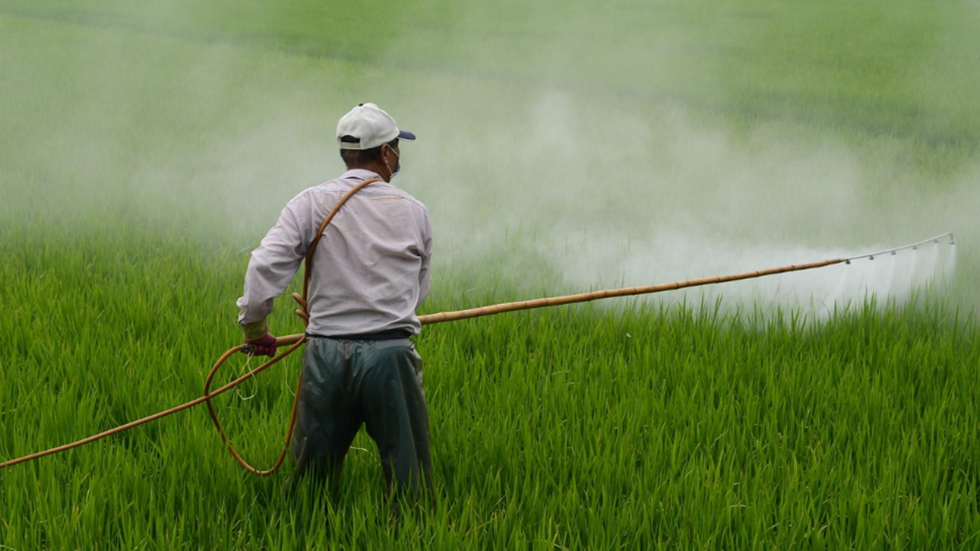 România folosește pesticide interzise în Europa! Ce spun experții