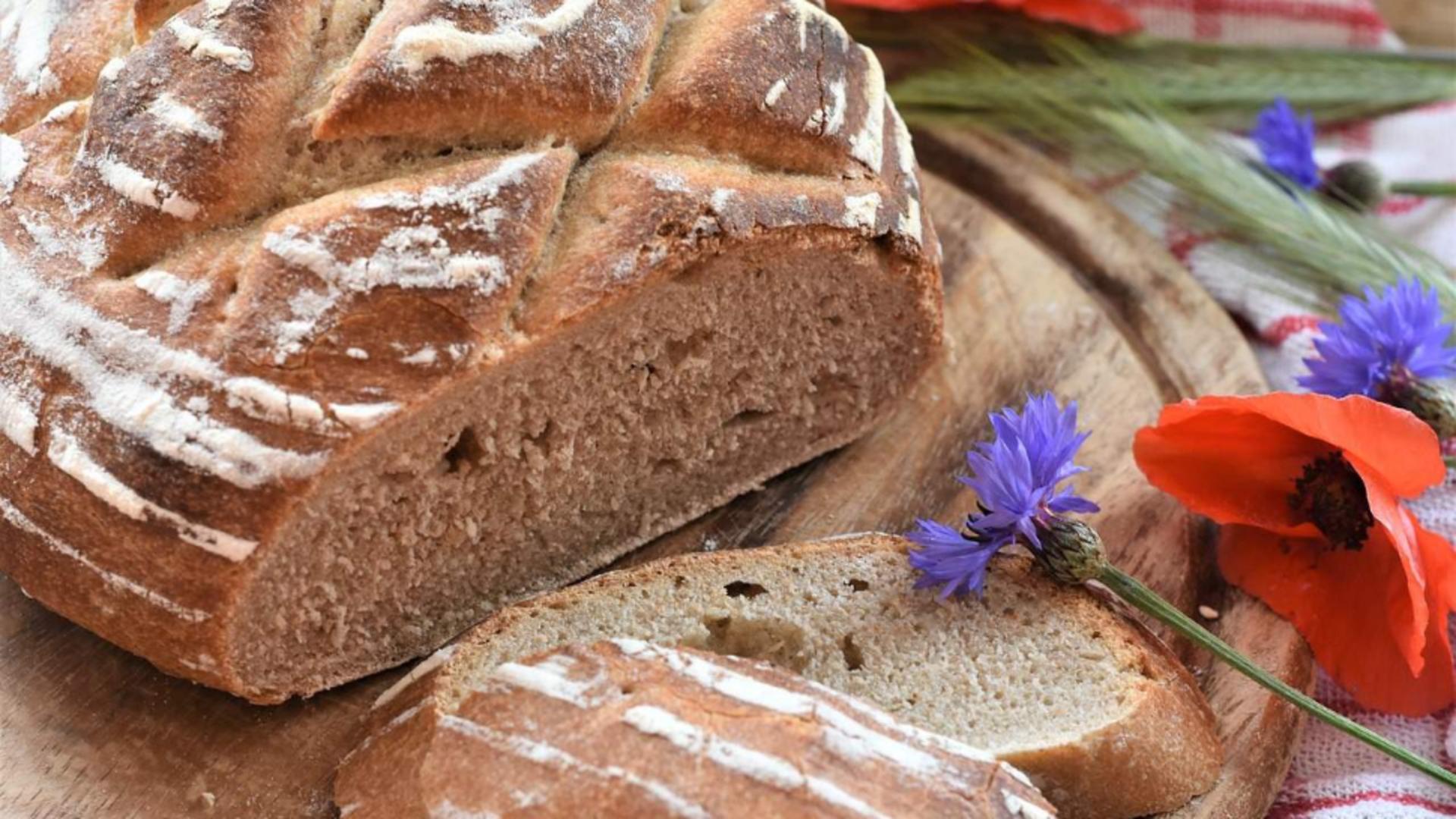 Ce conține sourdough, „pâinea bogaților”. Rețeta pas cu pas și beneficiile aduse sănătății