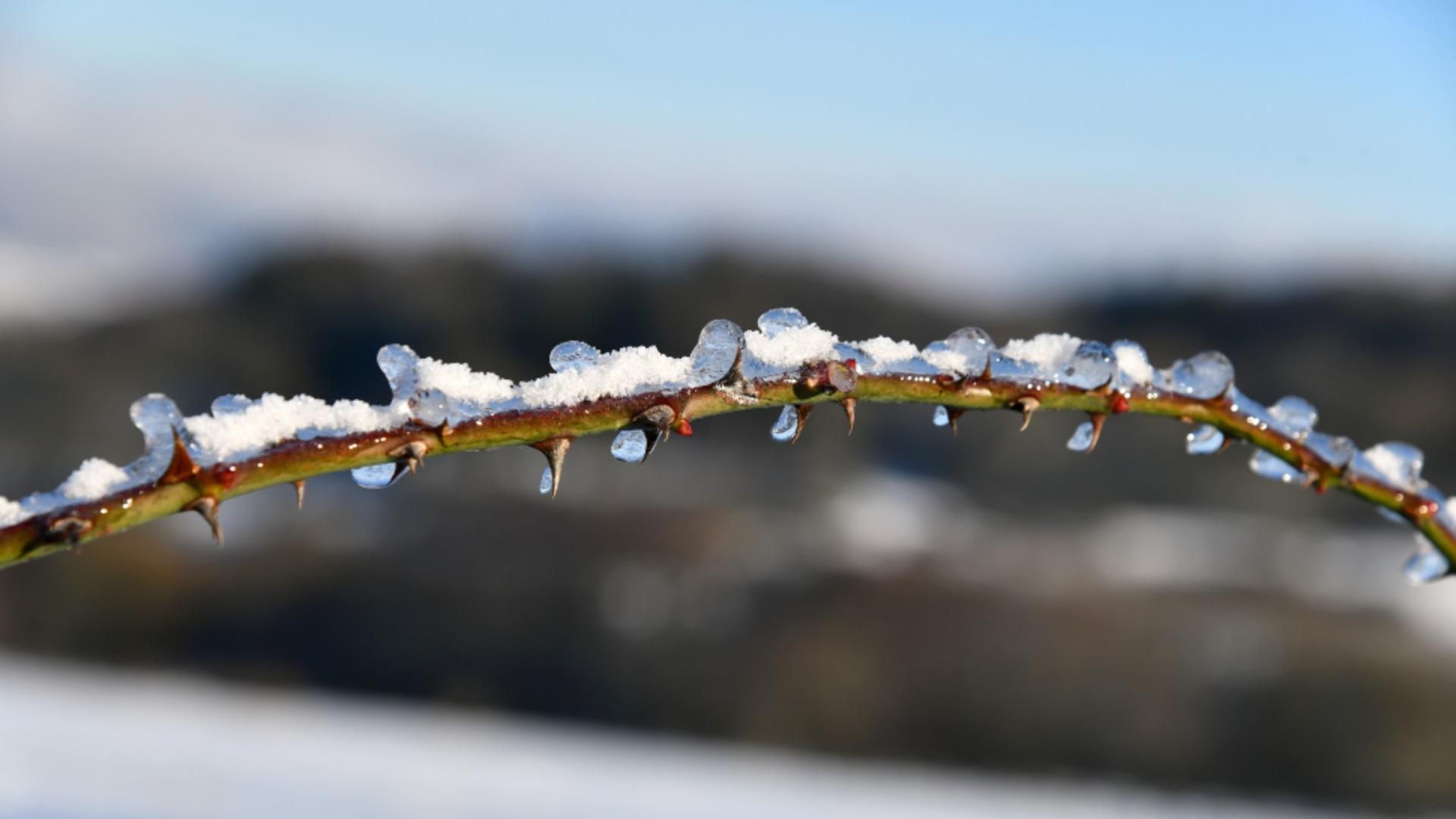 Cum va fi vremea în decembrie. ANM a actualizat estimările: prognoza meteo pentru următoarele 4 săptămâni