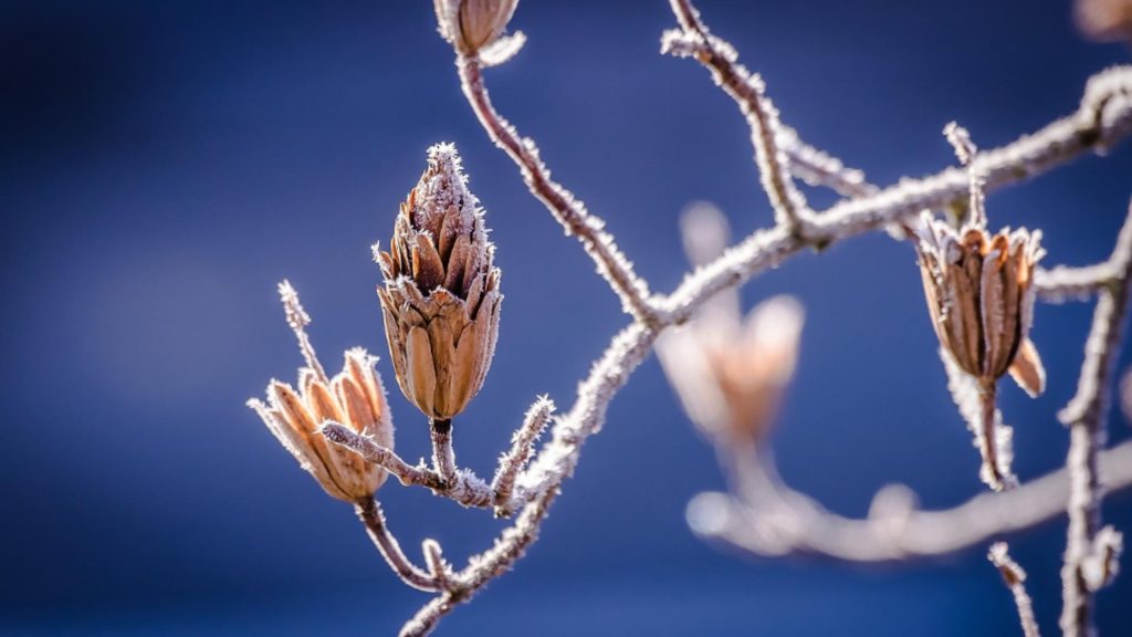 Cod GALBEN de ninsori viscolite, în aproape toată țara. ANM anunță un val de aer polar. Regiunile lovite de fenomene meteo extreme – HARTA ACTUALIZATĂ