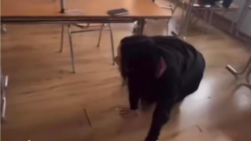 Scene șocante. O elevă și-a pus o colegă să meargă în genunchi şi să se comporte ca un câine VIDEO