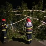 Vântul a făcut prăpăd în București, în ziua de Crăciun. Bilanț PARȚIAL al pompierilor după codul galben