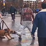 Sidepol reclamă reorganizarea Poliţiei Canine. Mesajul tranșant postat pe Facebook