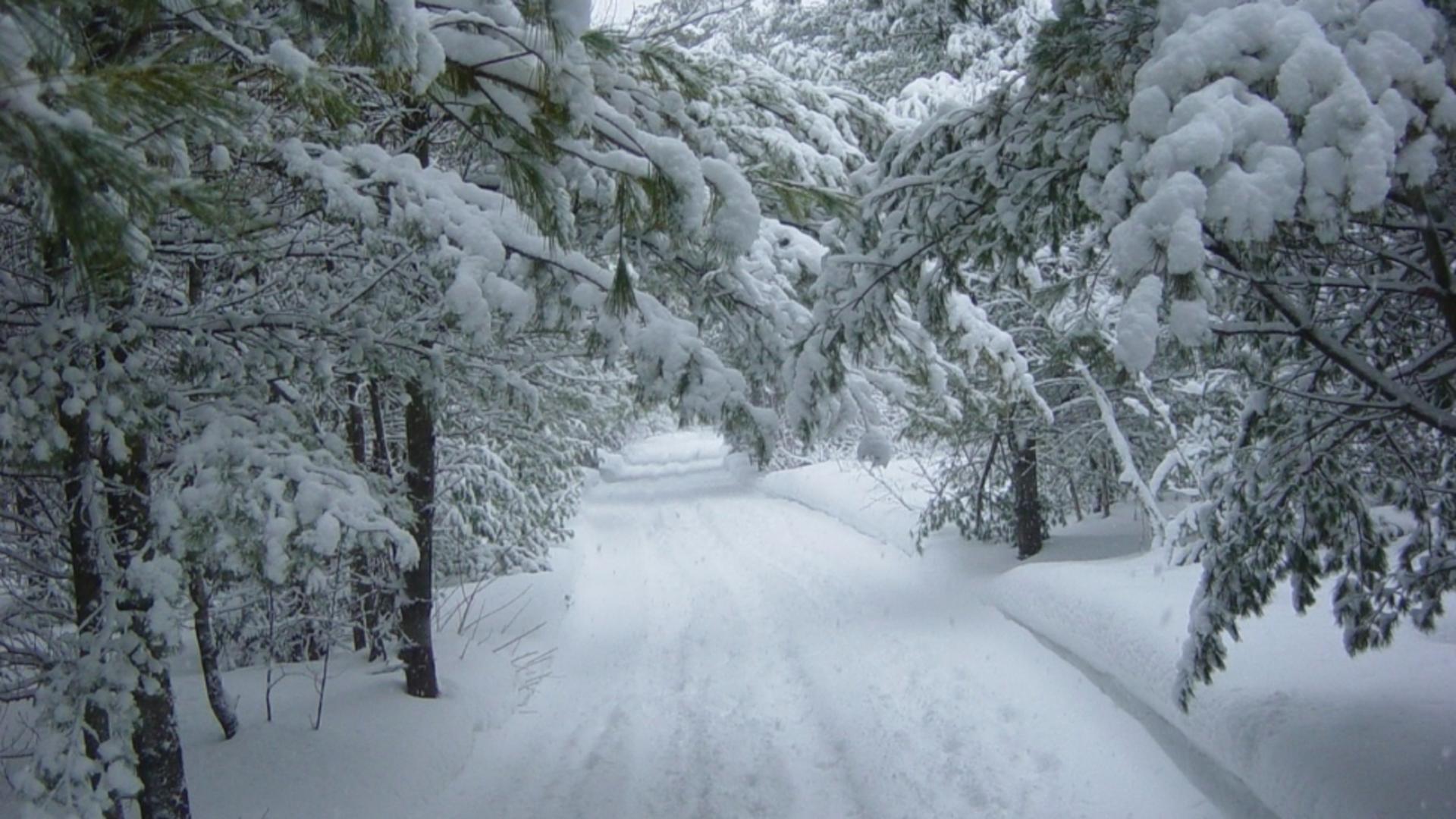 Informare meteo: val de frig peste România. Zonele lovite de ploi violente și ninsori – strat consistent de zăpadă – prognoza ANM