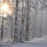 Vremea schimbă foaia de săptămâna viitoare! La ce temperaturi să ne așteptăm și cum arată prognoza ANM până la începutul lunii ianuarie