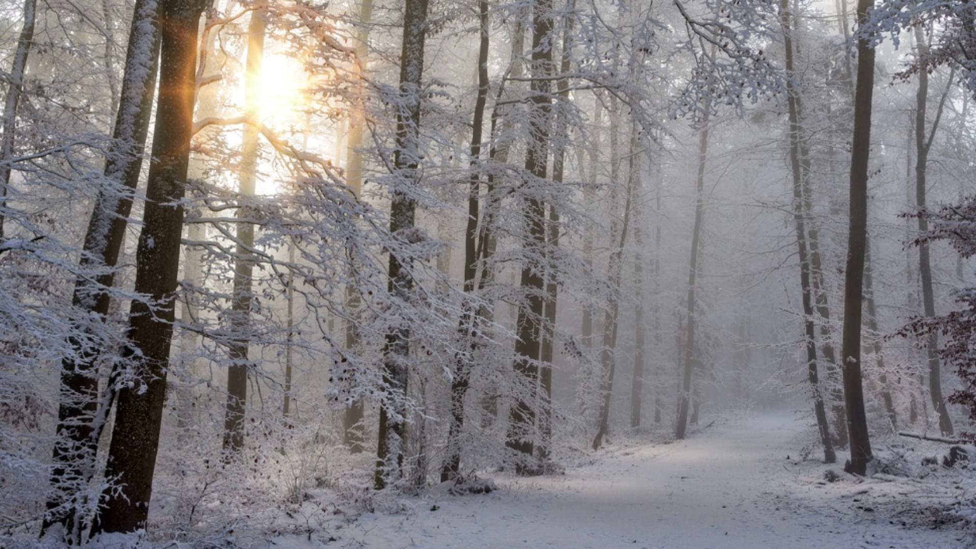 Vremea schimbă foaia de săptămâna viitoare! La ce temperaturi să ne așteptăm și cum arată prognoza ANM până la începutul lunii ianuarie