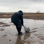 Marea Neagră în pericol: Zeci de kilometri de coastă, înghițiți de poluare după naufragiul a două petroliere