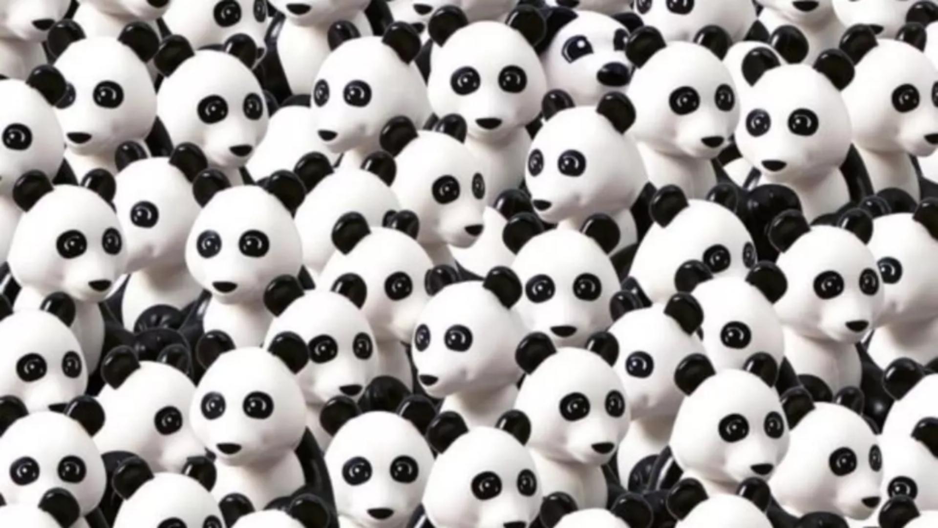 Poți să găsești cățelul ascuns printre urșii panda în numai 10 secunde? S-a camuflat atât de bine încât numai super-detectivii îl pot găsi