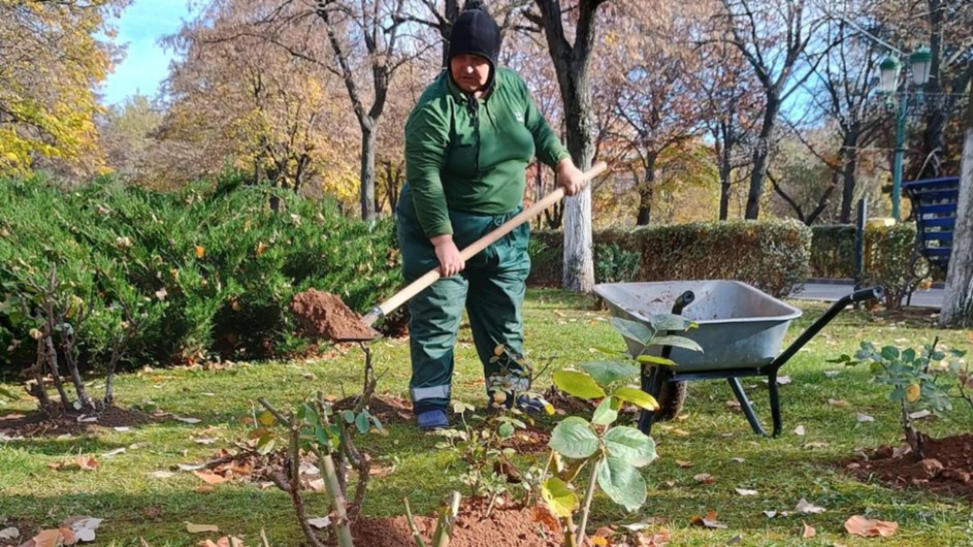 Totul Verde, realizări remarcabile în 2024 – FOTO