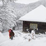 Salvamontiștii au intervenit în Munții Rodnei, după ce doi turiști s-au blocat într-o zonă cu zăpadă foarte mare