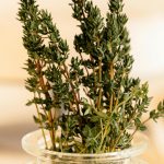 Planta care te poate scăpa de tuse. Are puternice efecte antivirale