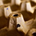 Criză de OUĂ în magazine, după sărbători. Ce se întâmplă în România