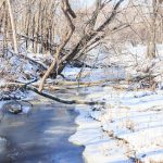 Obiceiuri românești în februarie. Ce spune tradiția legat de a doua lună din calendar