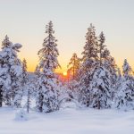 Prognoza meteo, 5 ianuarie. Vremea se încălzește ușor. Temperaturi de până la 8 grade Celsius