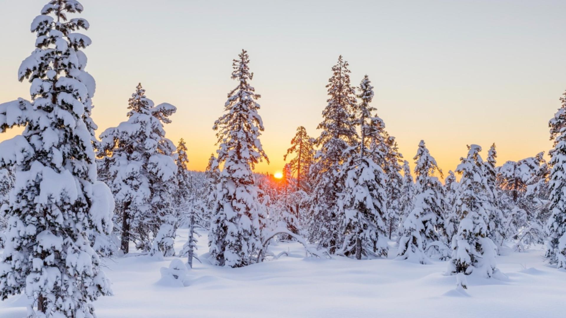 Prognoza meteo, 5 ianuarie. Vremea se încălzește ușor. Temperaturi de până la 8 grade Celsius