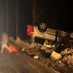 Grav accident rutier în Tulcea. O tânără de 19 ani a pierdut controlul volanului și a intrat în pom