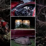 Accident devastator pe DN 4, în Călărași. Doi soți și-au pierdut viața în tragedia rutieră: „Acul s-a oprit la 160 km/h!”