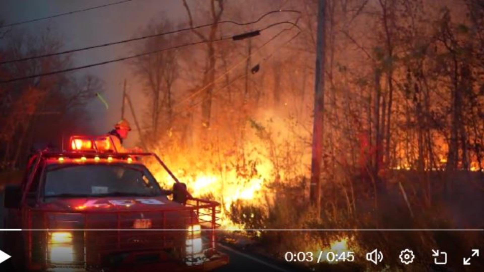 Fiul lui Trump susține că Ucraina este vinovată pentru incendiile din Los Angeles VIDEO