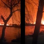 Delta Dunării, în flăcări. Incendiul de vegetație a pornit din zona localităţii Sulina și s-a dezvoltat cu repeziciune