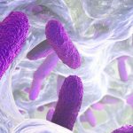 Primul caz de HMPV confirmat în Bihor: o femeie, infectată cu noul virus respirator