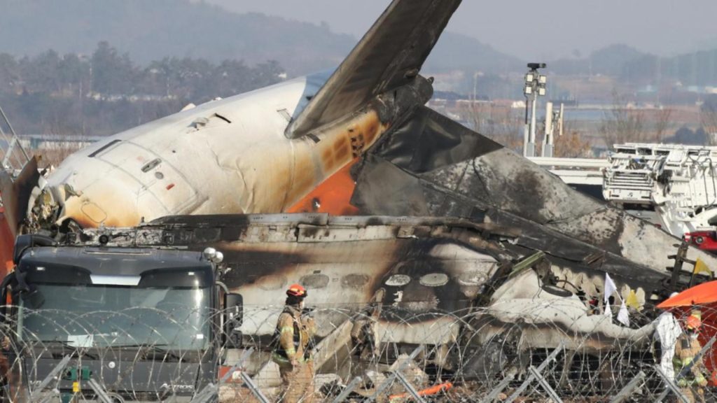 Cauza producerii ACCIDENTULUI AVIATIC din Coreea de Sud, posibil să fie elucidată. SURSE: Pene de pasăre şi sânge, găsite în ambele motoare ale aeronavei
