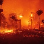 Stare de urgență în Los Angeles, după un incendiu violent într-un cartier de lux: 30.000 de persoane au fost evacuate – VIDEO