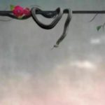 Află cine este cel mai mare dușman al tău. Testul Șarpelui descifrează mesajul subconștientului