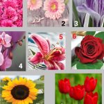 Test de personalitate. Cum te văd cei din jur. Imaginea pe care o afișezi în fața celorlalți