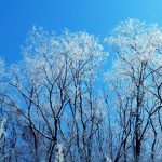 Vreme de primăvară, în următoarele zile, în toată țara. Când revin ploile și frigul