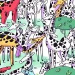 Testul vânătorului suprem: Poți să găsești zebra ascunsă printre girafe în doar 5 secunde? Doar cei cu ochi de șoim sunt capabili de o astfel de performanță