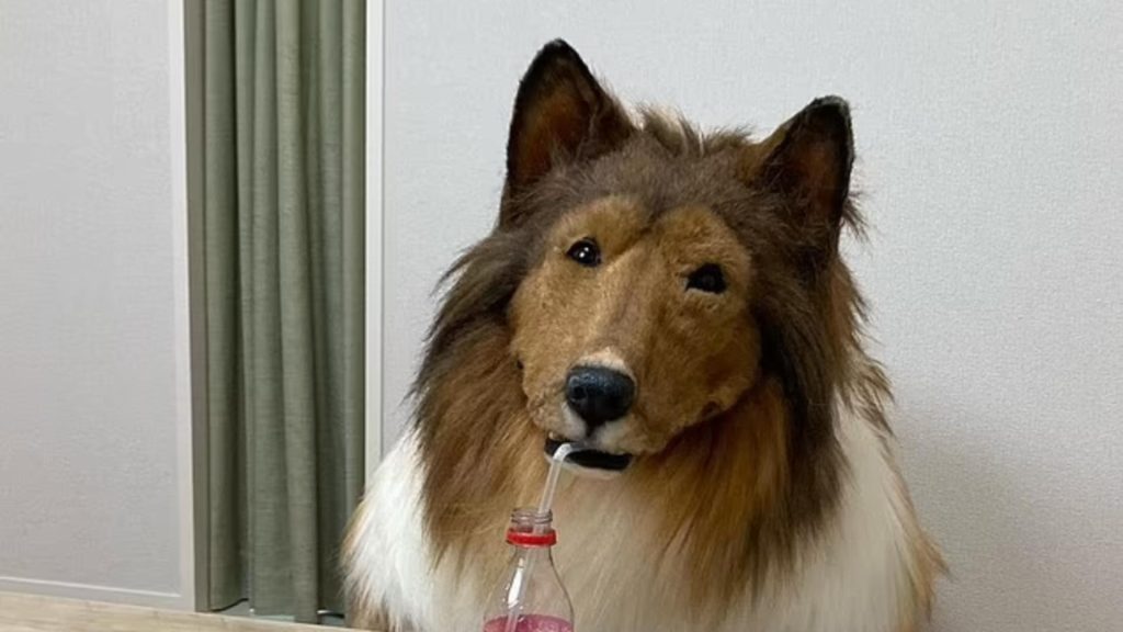 Bărbatul care a cheltuit o mică avere ca să devină „câine” și-a deschis o grădină zoologică pentru alți oameni care vor să fie animale
