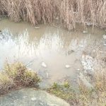 Poluare cu amoniac, într-un râu din Botoșani. Stațiile de epurare, sursa contaminării – amendă uriașă 