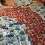 Dealer de droguri din București, prins în Cluj cu peste 13 kilograme de canabis în sufragerie