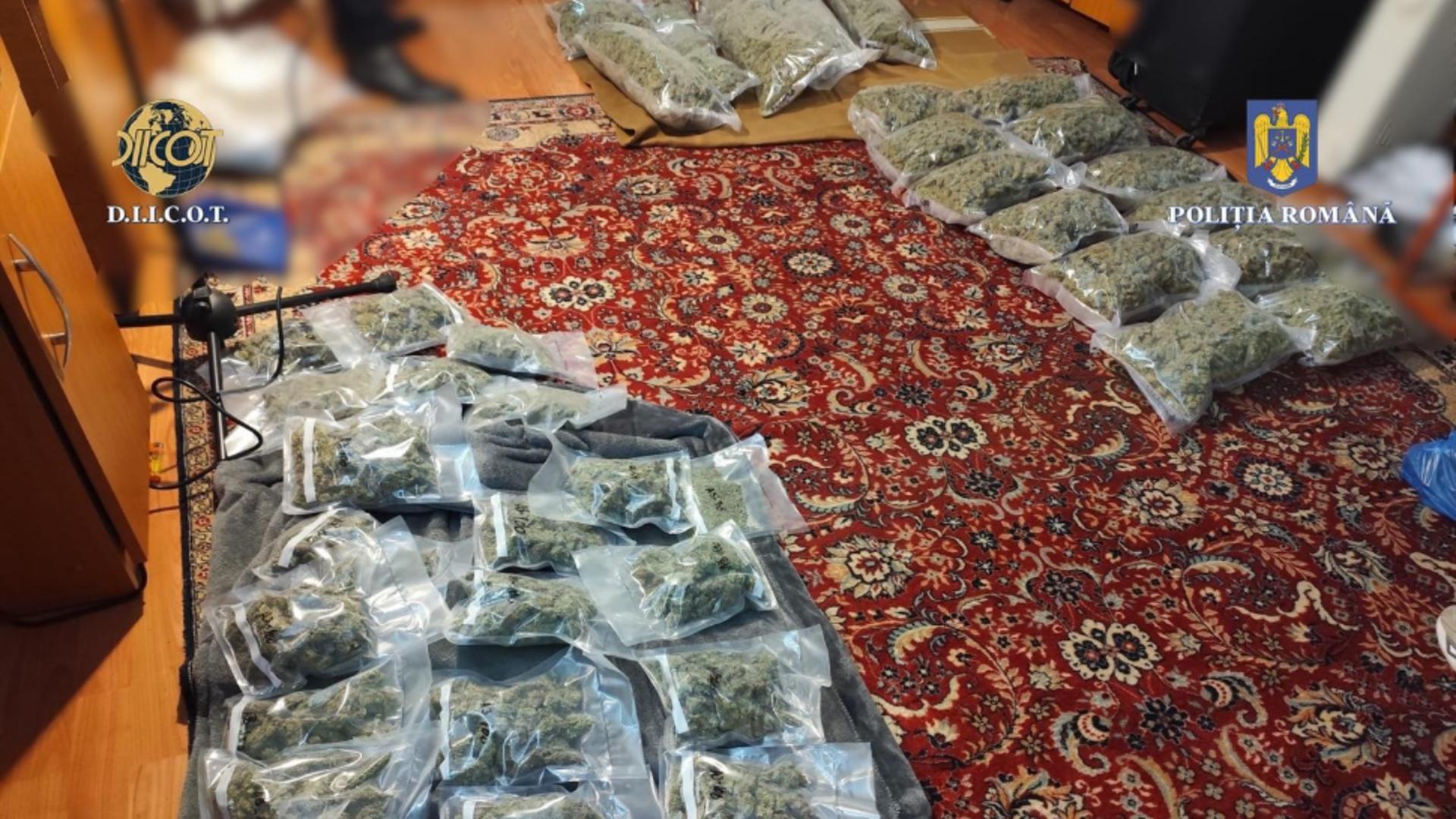 Dealer de droguri din București, prins în Cluj cu peste 13 kilograme de canabis în sufragerie