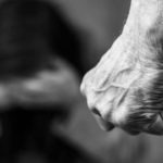 Motivul halucinant pentru care o tânără din Craiova a fost pălmuită în plină stradă de proprietarul unui câine. ”Am văzut stele verzi”