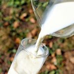 Beneficiile miraculoase ale laptelui de capră. Iată de ce merită să îi introduci în dieta zilnică