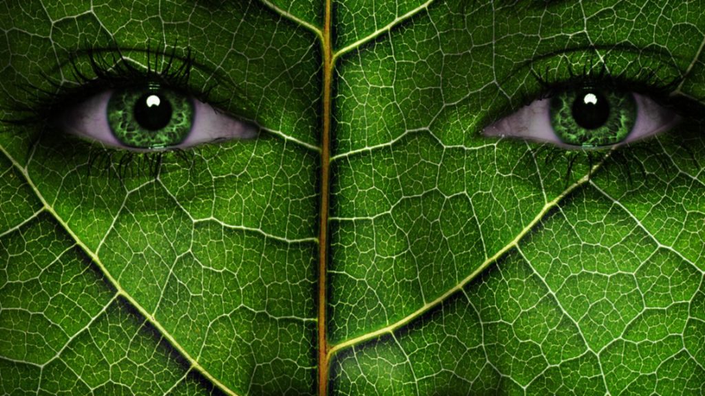 Un nou obiectiv ratat din Green Deal: „Transportul „verde” – departe de țintele UE