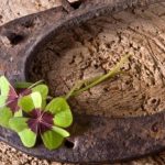 Horoscop săptămânal, 14-20 februarie. 4 zodii au noroc pe toate planurile. Vezi dacă te numeri printre ele