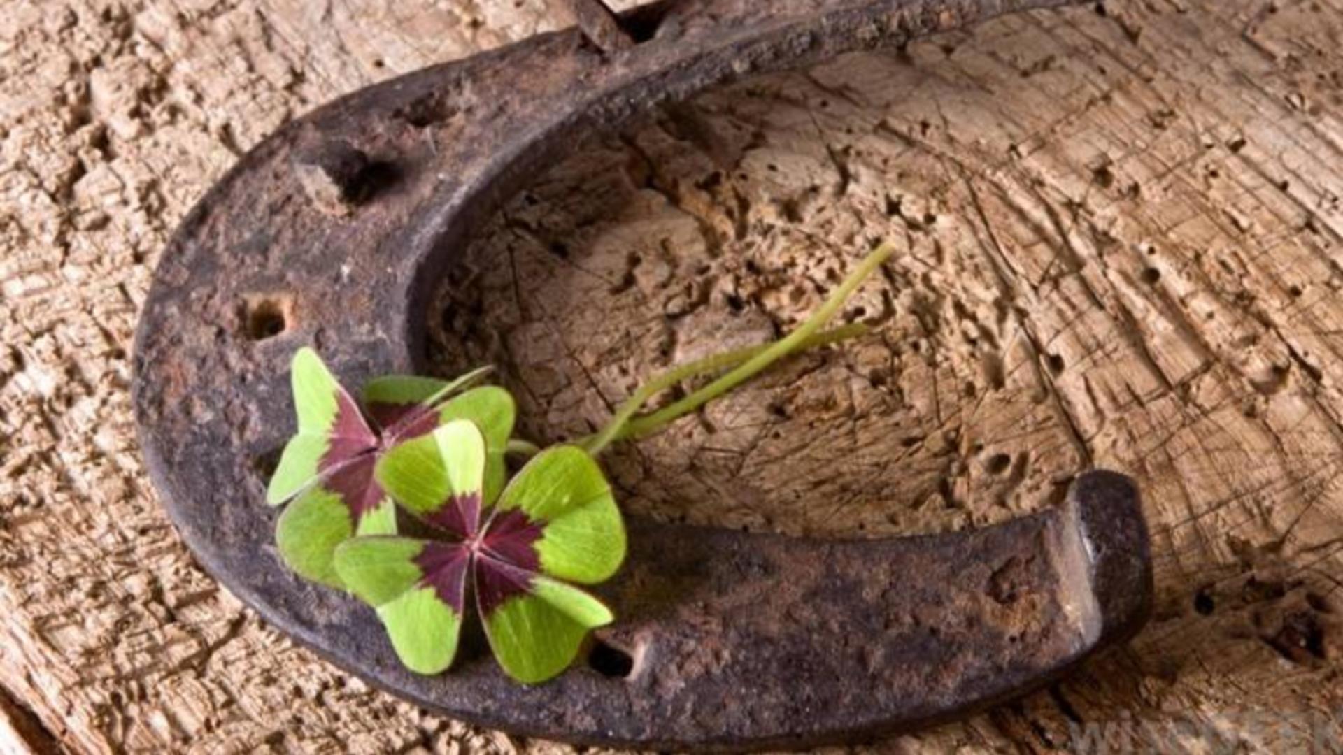 Horoscop săptămânal, 14-20 februarie. 4 zodii au noroc pe toate planurile. Vezi dacă te numeri printre ele