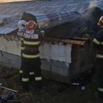 Un incendiu a mistuit un adăpost de animale din Probota, Suceava. 15 porci au murit