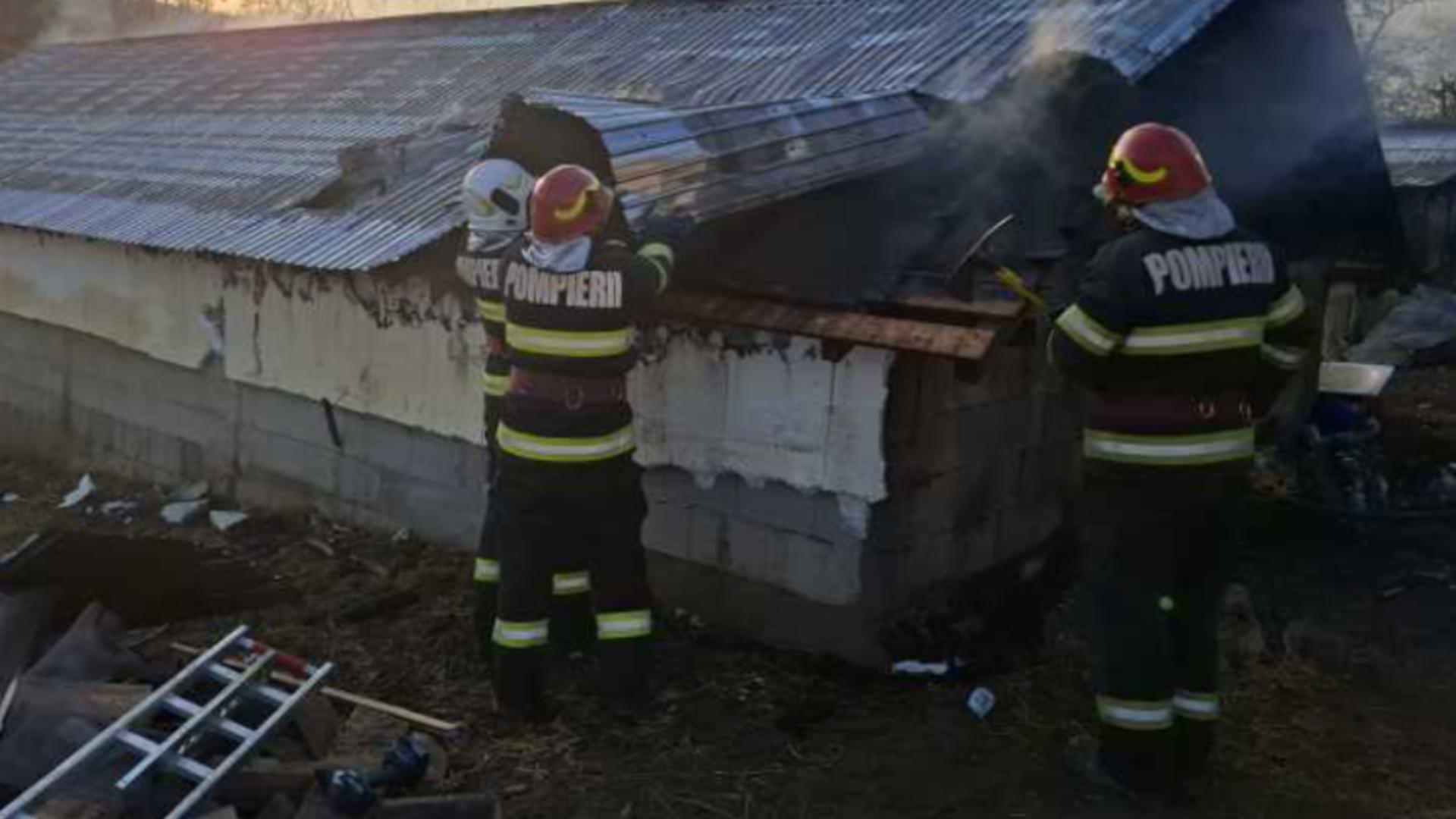 Un incendiu a mistuit un adăpost de animale din Probota, Suceava. 15 porci au murit